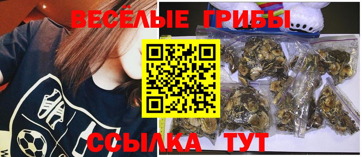 Архангельск  Галлюциногенные грибы ЛСД  закладки  Вход с VPN  Галлюциногенные грибы Cubensis 