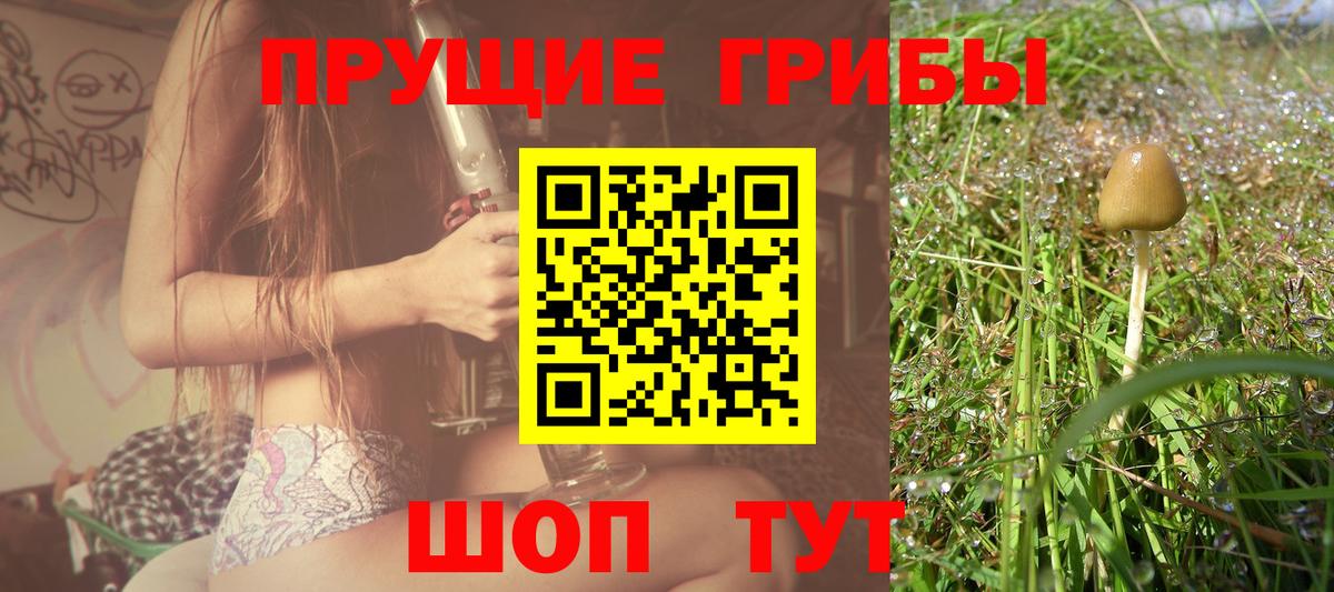 Галлюциногенные грибы ЛСД Архангельск